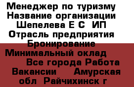 Менеджер по туризму › Название организации ­ Шепелева Е.С, ИП › Отрасль предприятия ­ Бронирование › Минимальный оклад ­ 30 000 - Все города Работа » Вакансии   . Амурская обл.,Райчихинск г.